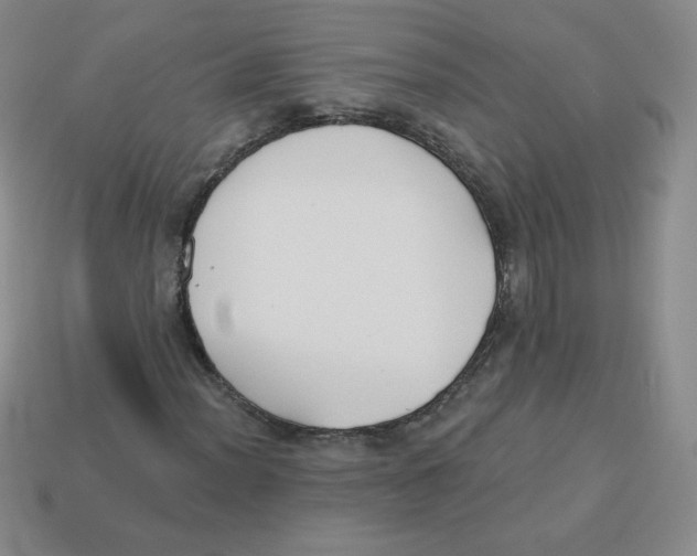 X0000113281012200910131000