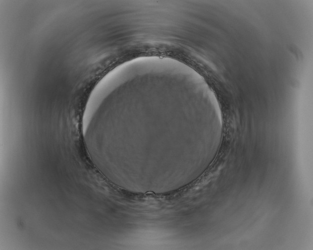 X0000113281013200910131000