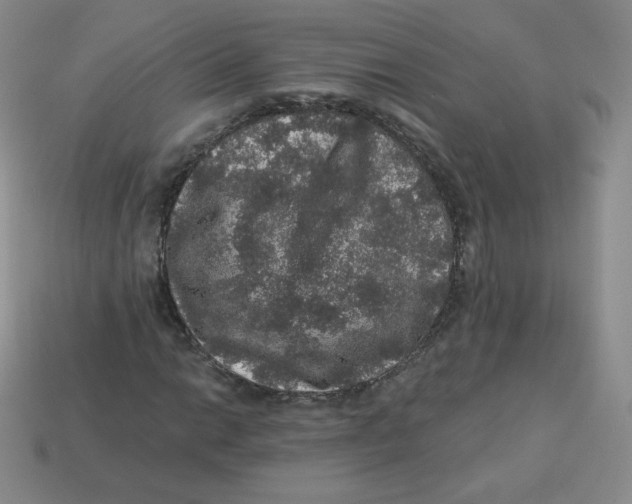 X0000113281014200910131000