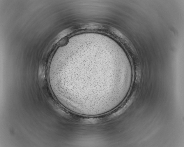 X0000113281017200910131000