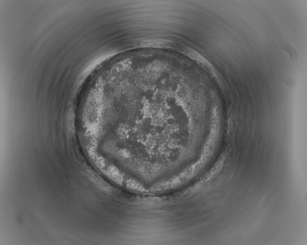 X0000113281019200910131001