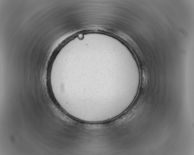 X0000113281020200910131001