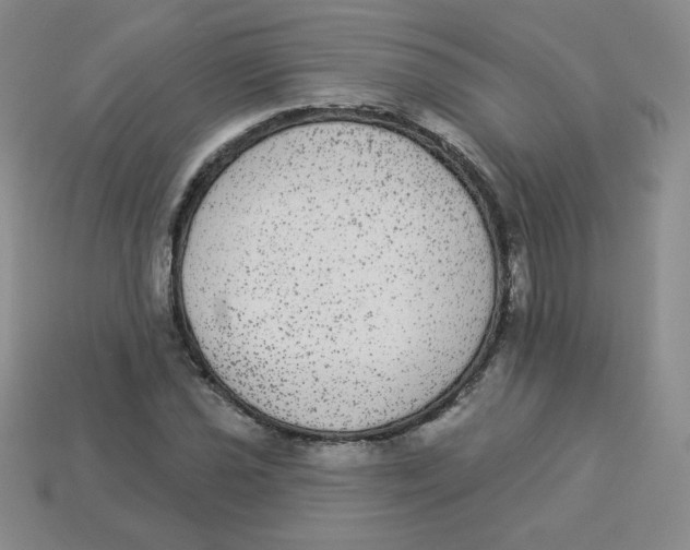X0000113281021200910131001
