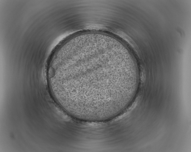 X0000113281022200910131001