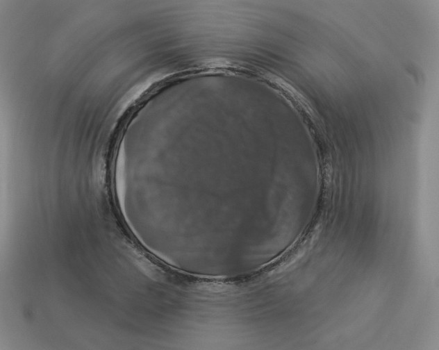 X0000113281023200910131001
