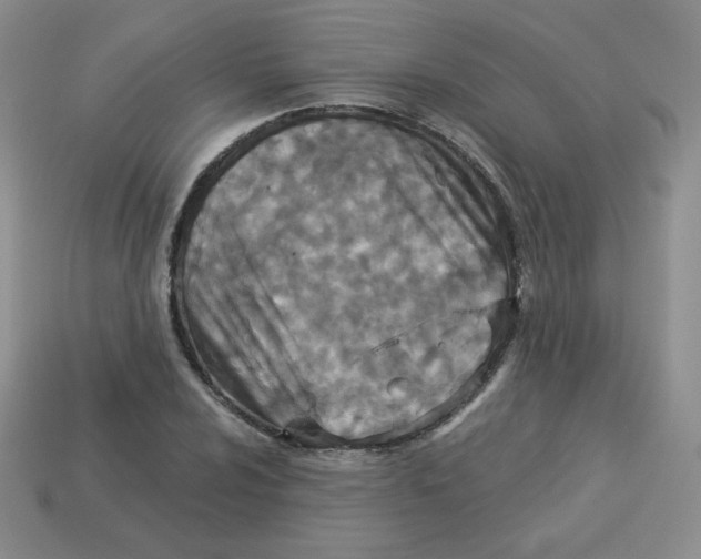 X0000113281024200910131001