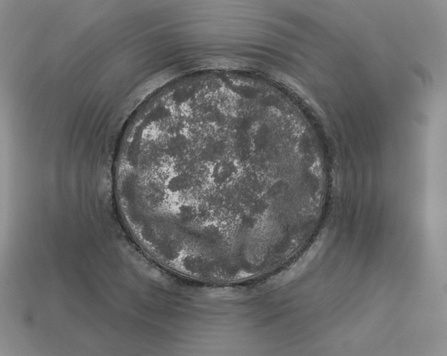 X0000113281025200910131001