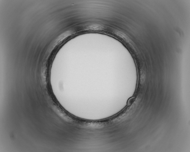 X0000113281026200910131001