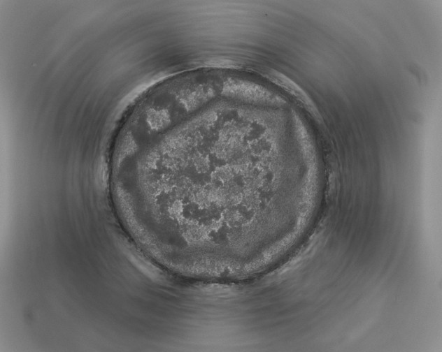 X0000113281027200910131001