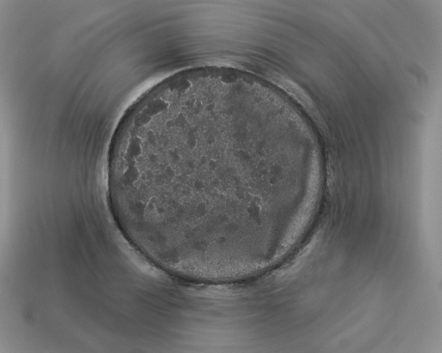 X0000113281028200910131001