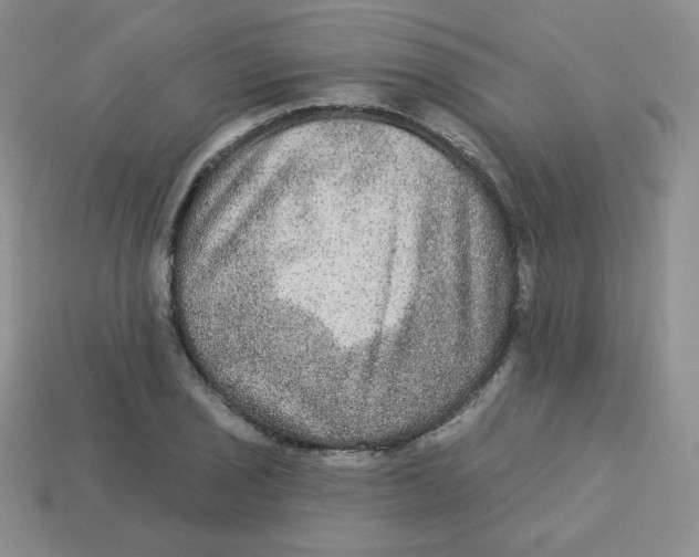 X0000113281029200910131001