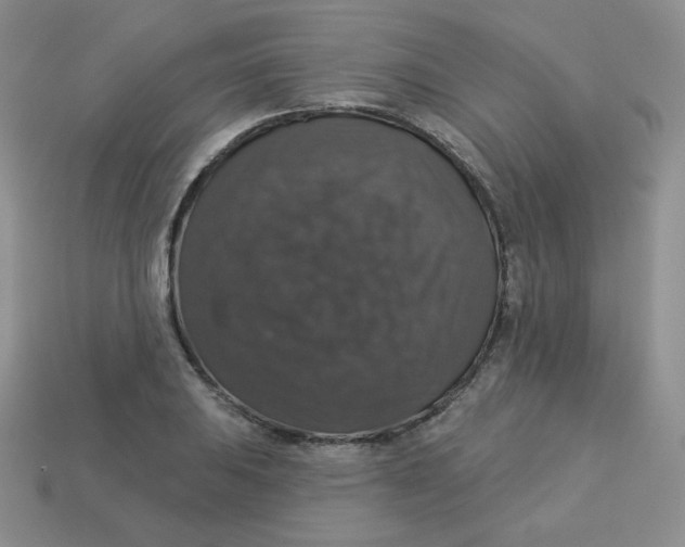 X0000113281031200910131001