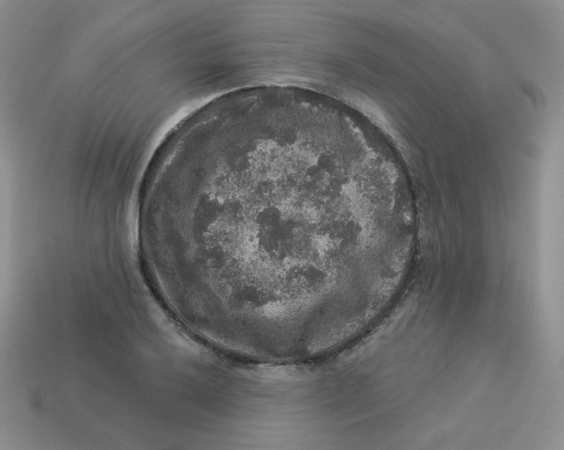 X0000113281032200910131001