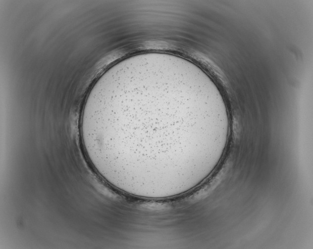 X0000113281033200910131001