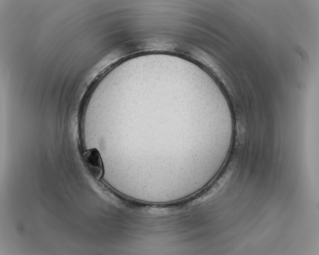 X0000113281034200910131001