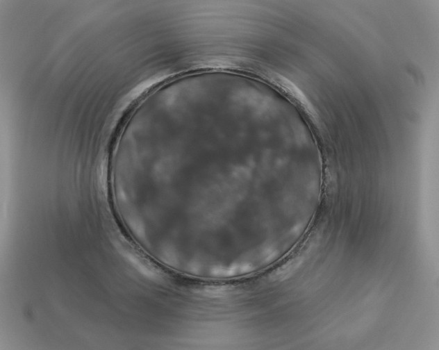 X0000113281035200910131001
