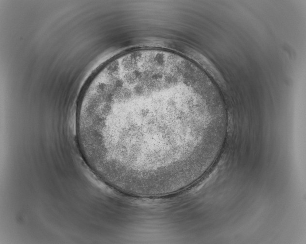 X0000113281036200910131001