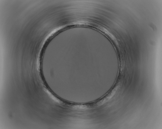 X0000113281037200910131001