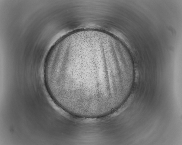 X0000113281038200910131001