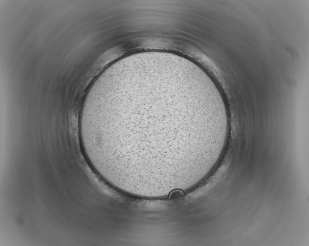 X0000113281041200910131001