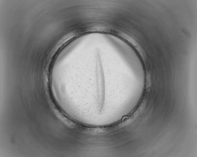 X0000113281042200910131001