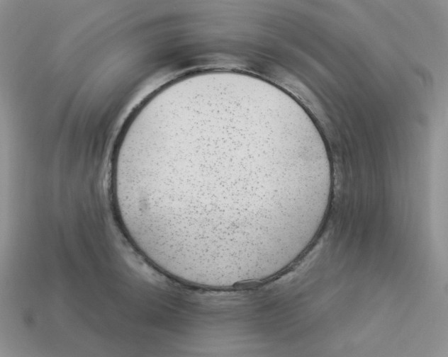 X0000113281044200910131001