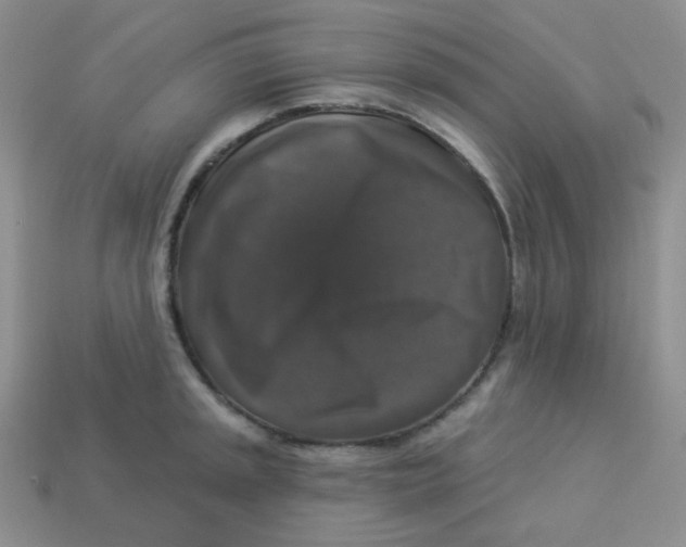X0000113281045200910131001