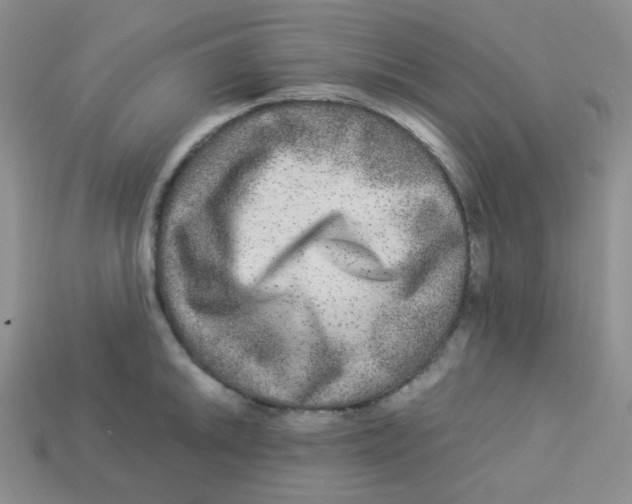 X0000113281046200910131001
