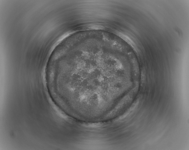 X0000113281047200910131001