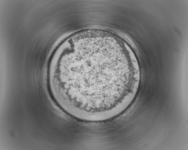 X0000113281048200910131001