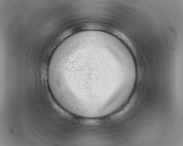 X0000113281049200910131001
