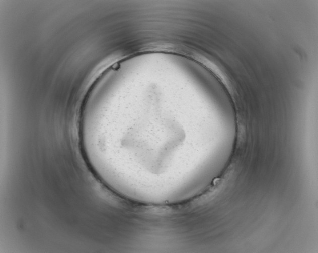 X0000113281050200910131001
