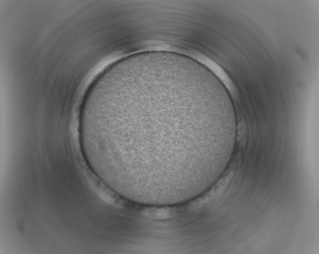X0000113281051200910131001