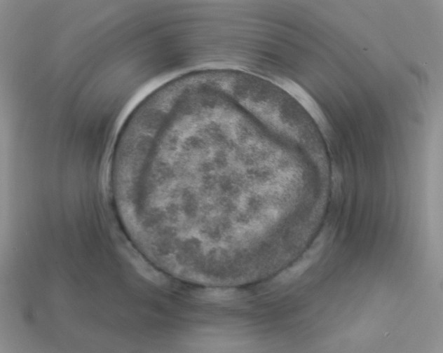 X0000113281052200910131001