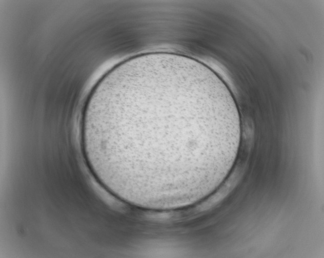 X0000113281054200910131001