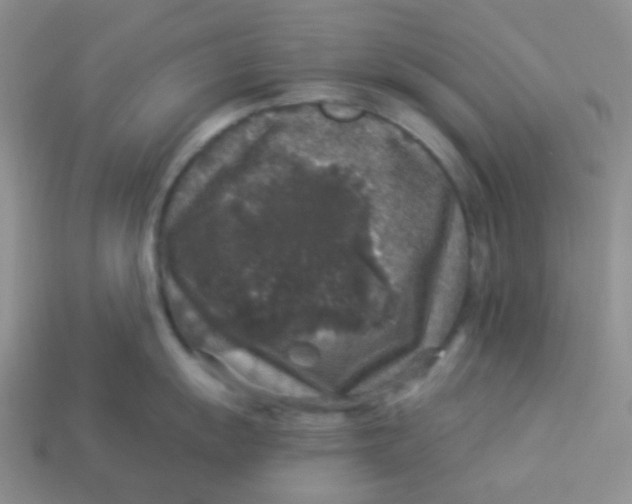 X0000113281055200910131001