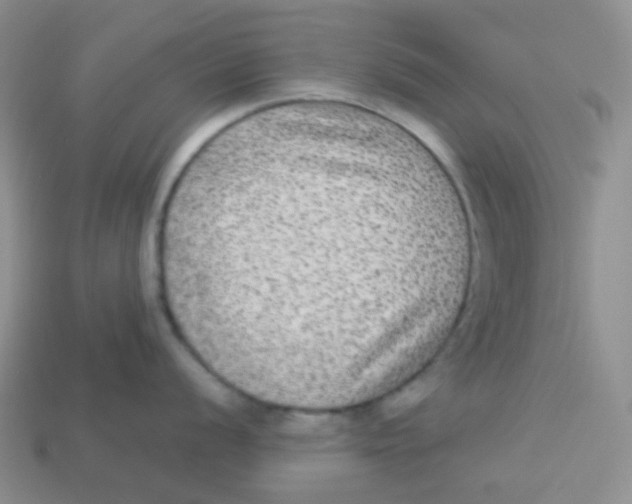 X0000113281056200910131001