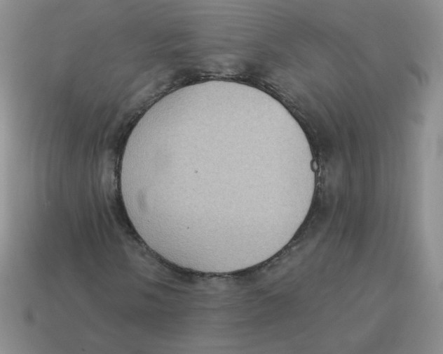 X0000113281058200910131000