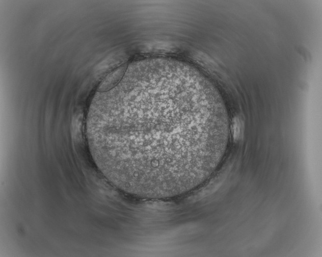 X0000113281059200910131000