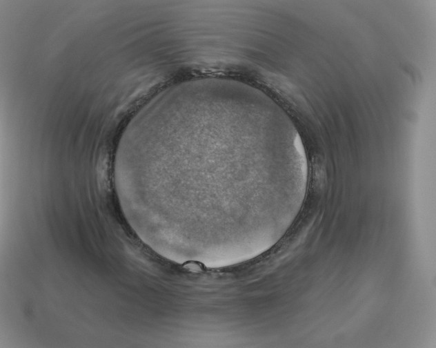 X0000113281060200910131000