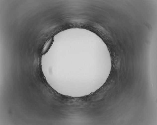 X0000113281061200910131000
