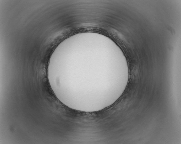 X0000113281062200910131000