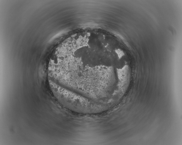 X0000113281063200910131000