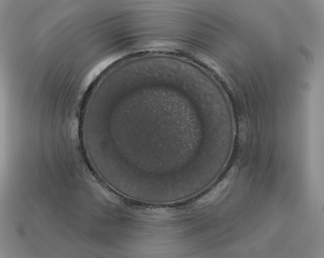 X0000113281066200910131000