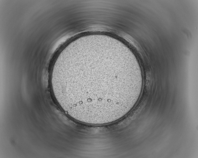 X0000113281067200910131000
