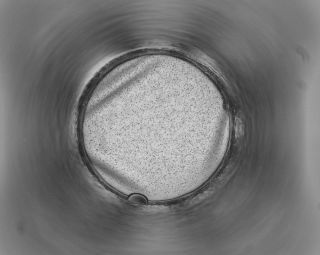 X0000113281068200910131000