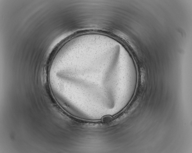 X0000113281069200910131000