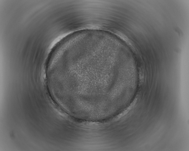 X0000113281070200910131000