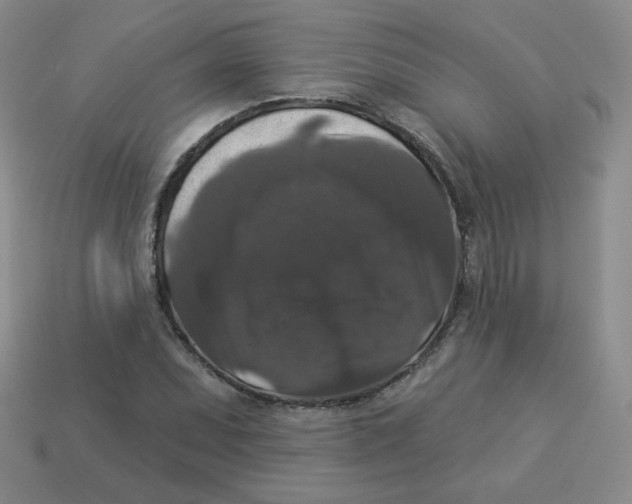 X0000113281071200910131000