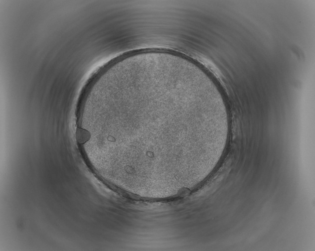 X0000113281072200910131000